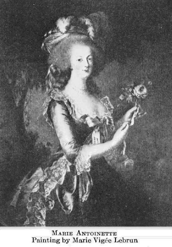 Marie Antoinette illustration